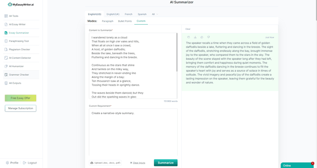 AI summarizer tool output by MyEssayWriter.ai 